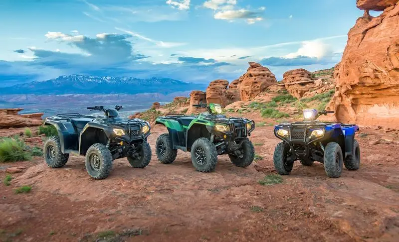 Want To Learn About |2024| Honda Rancher Vs Foreman Vs Rubicon